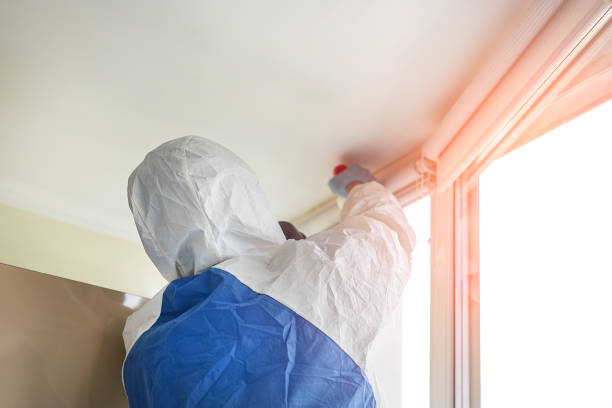  Ardsley, NY Mold Removal & Remediation Pros