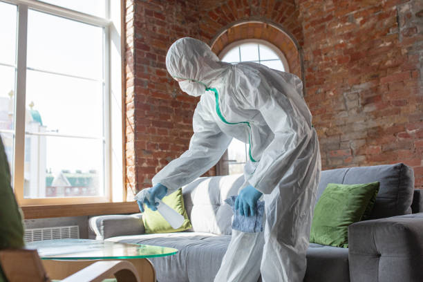 Trusted Ardsley, NY Mold Removal & Remediation Experts