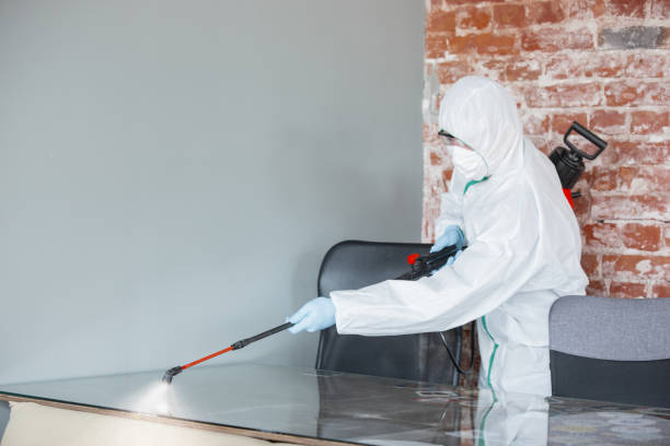 Forensic Mold Investigation in Ardsley, NY